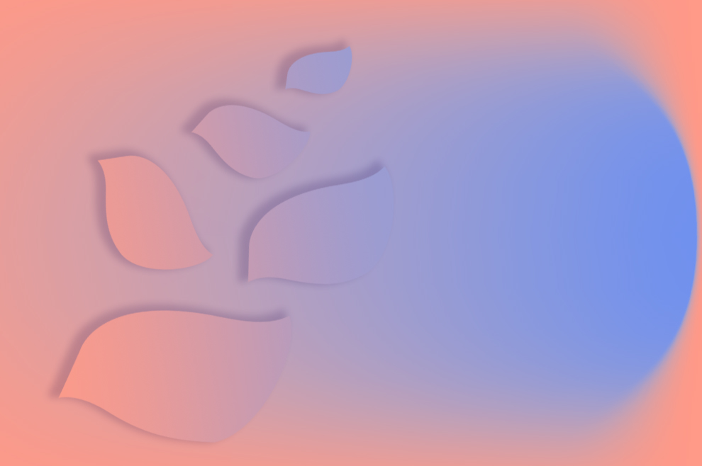 CASSETTE 1-VIA by Clivet: plus que silencieux, presque imperceptible