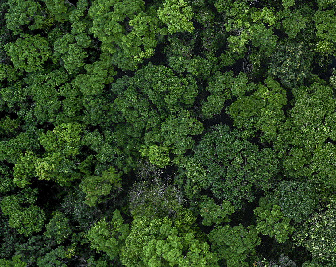 R290 heat pump and radiators: higher efficiency with propane